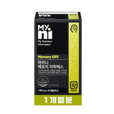 두뇌발달기억력