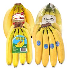 [월드마켓] 실속형 고당도 바나나