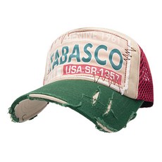 파타고니아메쉬캡