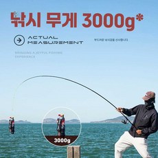 낚시대 낚싯대 장거리 민장대 장대 바다 바위, 1개, 하드테일 3.3m 폴 약간