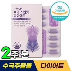 수국스킨핏다이어트