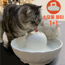 고양이정수기 도자기 분수대 음수대 급수대 강아지 펫 필터, 정수기 단독구입
