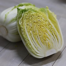 노랗고 속이 알찬 전남 해남 알배추, 3개, 600g