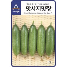 보람농자재 (오이씨앗종자) 맛사지맛짱오이(10립/500립), 500립