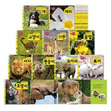 생각콩콩칠교