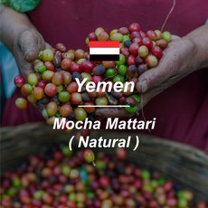 [커피생두] 2021 뉴크랍 예멘 모카 마타리 내츄럴 1kg