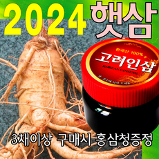 금산인삼아줌마 인삼 (5호)왕난발삼 750g 산지에서 발송 가정용 수삼, 왕난발삼(5호) 750g, 1개