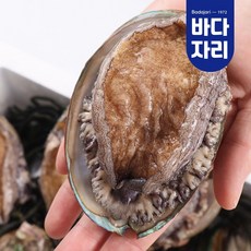 [산지직송] 완도 활전복 1kg 완도전복 산소포장 참착한전복 9-10미