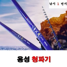 목회자용성경책