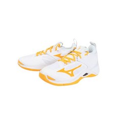 v1ga211254 TOP01