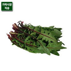 적치커리