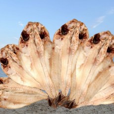 [자연해풍] 민어 반건조 국내산 손질민어 특품 인피솔