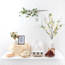 포토테이블대여