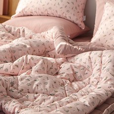 알레르망구스침구세트