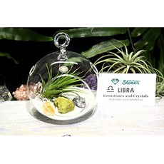 EOM 천칭 자리 조디악 크리스탈 Tillandsia 테라리움 천칭 자리 크리스탈 선물 세트 공기 식물 천칭 자리 크리스탈 테라리움 천칭 자리 - E061908BTMFVMJ6, 기본