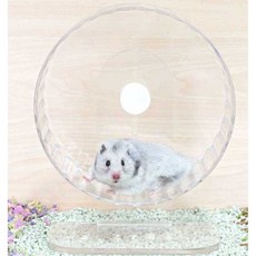 다람쥐 쳇바퀴 햄스터 투명 아크릴 무소음 운동 러닝, 1개, 투명 저소음 휠 21cm