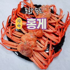 죽도홍게