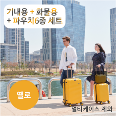 썸덱스캐리어