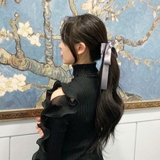 랑즈 리본꼬리핀