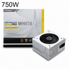 파워 EAG PRO 750W WHITE 80PLUS GOLD 모듈러 AONE, 1