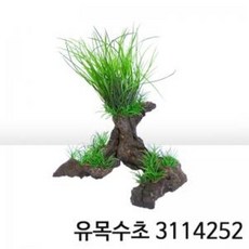 유목수초 3114252, 1개