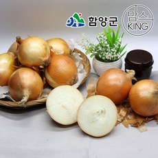 함양양파