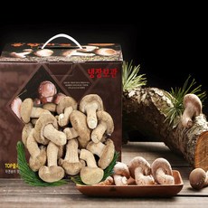송화 송고 송향버섯 일반형(실속)500G, 선물용(중품)1kg