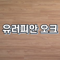 강마루 이건 강마루 세라 1박스 1평