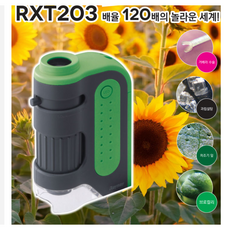 식물확대경