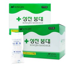 성진하이쿨