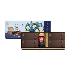 정관장 다보록 감사편 존경 홍삼정 1병 황진단 4박스, 1세트
