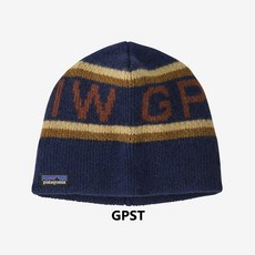 파타고니아비니