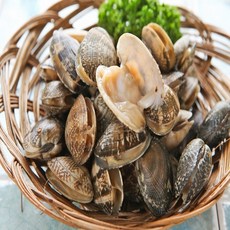 다이버 왕바지락1kg 산지직송
