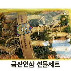 수삼 인삼선물세트 금산 750g 16-20뿌리 금보자기포장, 1개