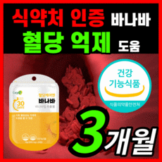 노플랜프로젝트