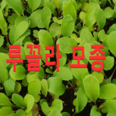 d793f3704eab68a9623ac5203c8ebea743b206e54b5213f331ed12128805.png