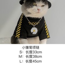 a2b1aee5dc2b4e283c1c473b8fee5e1ea6fbf49b5aed4afe995bcfec47b6.jpg