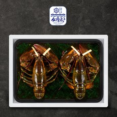 프리미엄 활랍스터 선물세트 라지 2미 2kg 특대, ONE COLOR, ONE SIZE