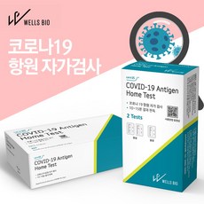웰스바이오 코로나 자가진단키트 자가검사키트 2T 1박스 (유통기한 25년 1월 31일), 1개, 2개입