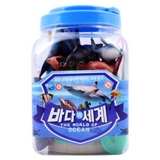 바다의세계