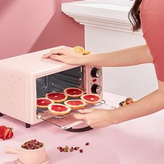 벤하임미니오븐