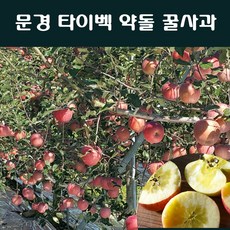 441127ef921e69370f353f8dce8c45fc2f148a634f86cfe010d17acacded.jpg