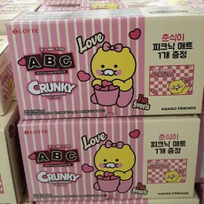 롯데 춘식이 피크닉매트 기획팩 545g