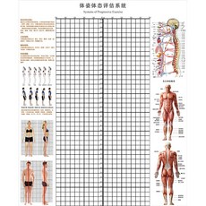 체형분석스크린