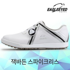 이글아이드골프화징