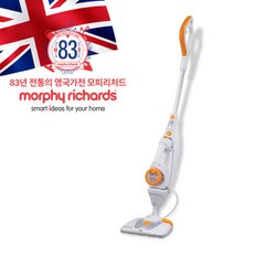 모피리처드새턴스팀