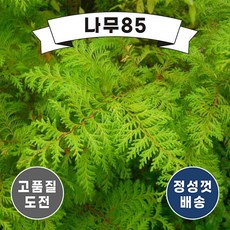 b74d924b0414c349211acfae48daacbc12b4855d37f9735fadeb3e6ed955.jpg
