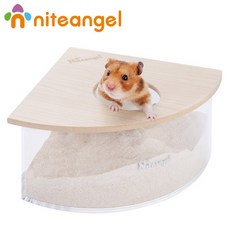 나이트엔젤데크