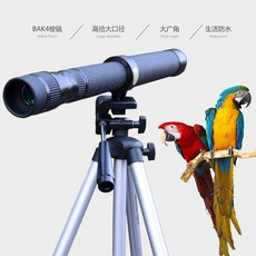 2022포레스텔라전국투어콘서트thebeginningworldtreeinjeonju