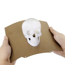 엔더3익스트루더